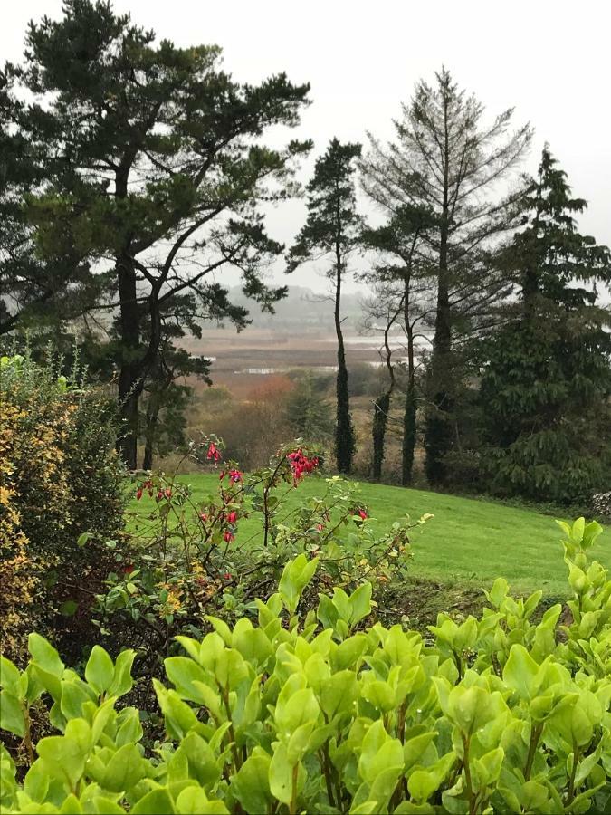 Mick's Ferienhaus Loughrea